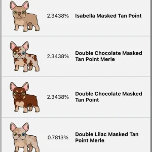 The Color Chart for French Bulldog Breeding
