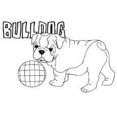 Bulldog Coloring Pages Cute Puppy Drawings and Printable Pictures