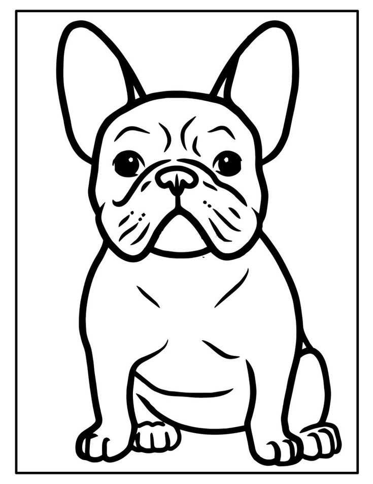 The French Bulldog Coloring Sheet A Fun Activity for Dog Lovers