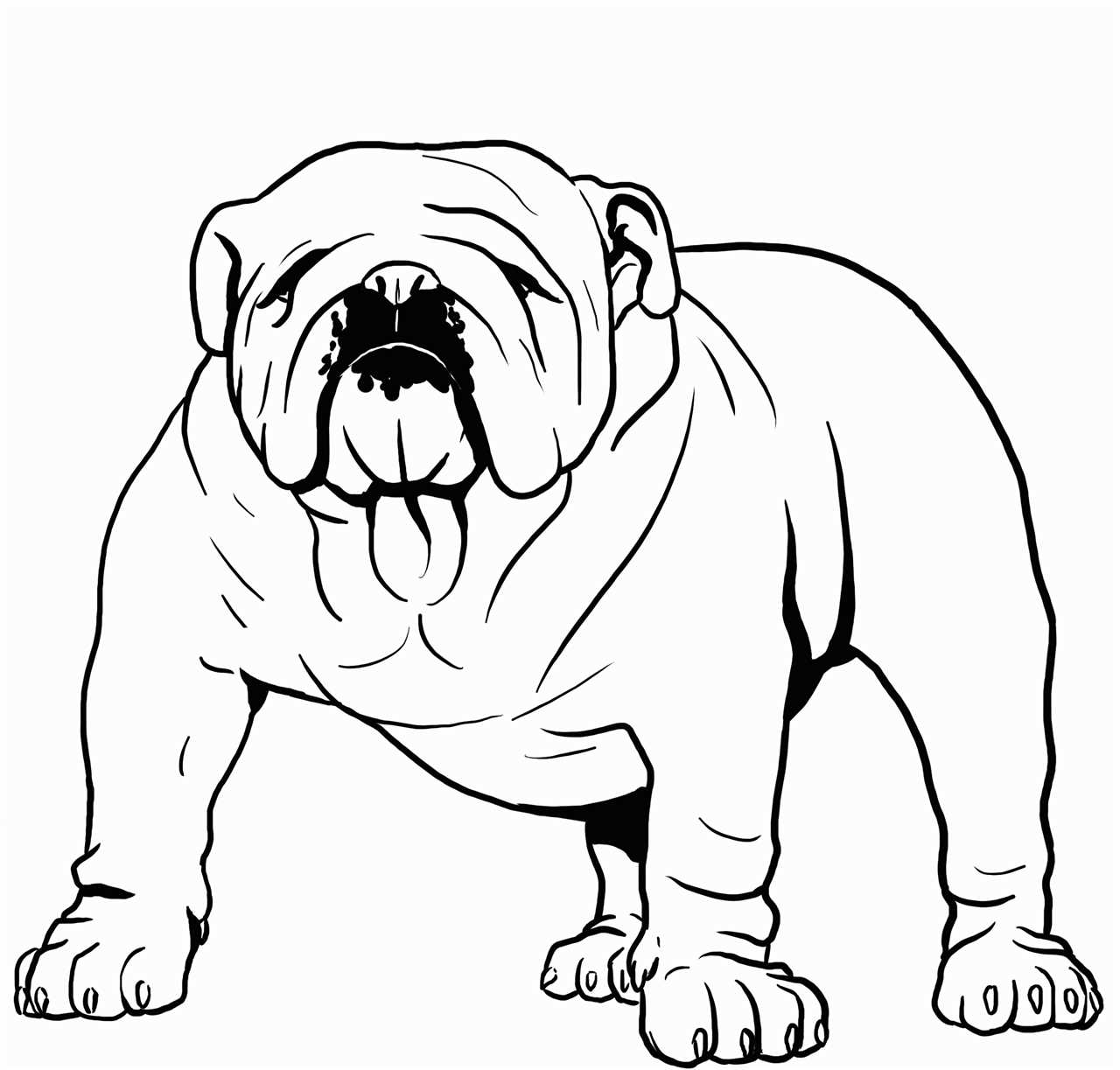 English Bulldog Coloring Pages Fun and Cute Dog Pages to Color