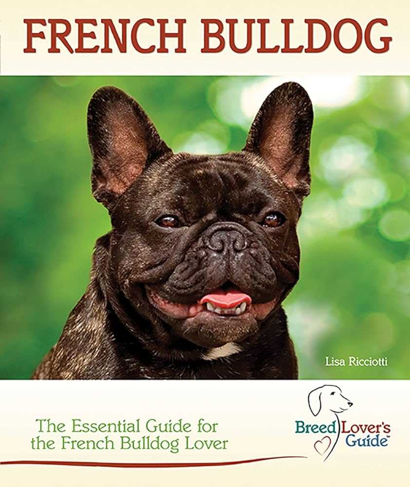 About the Black Pied French Bulldog